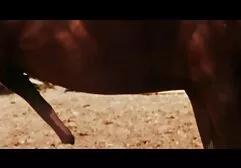 Een harde man ontspant met zijn overdekte erotiek gratis films minnares.